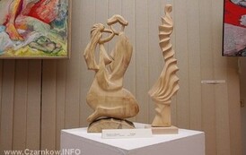 salonwp2411022605
