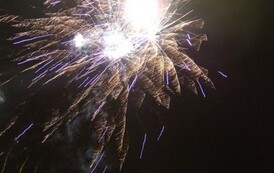 wosp1401200768