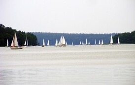 mw1707200767