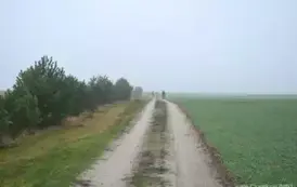 rm0712202419