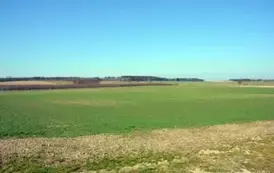 rw2203202518
