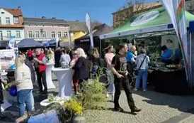 at1304202517