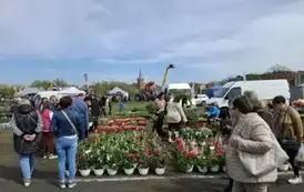 at1304202503