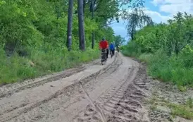 rr2405202519