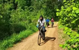 rr2405202506