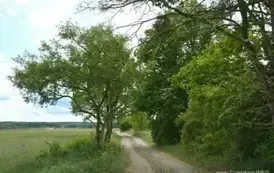 nf3105202517
