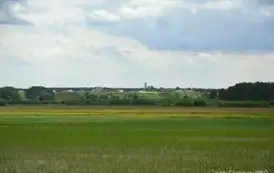 nf3105202510