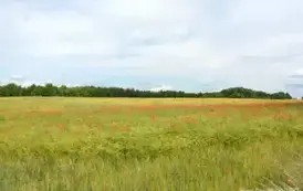 rr0706202523