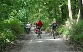 rr0706202520