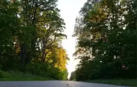 rn1406202510