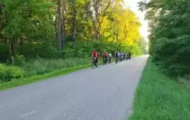 rn1406202509