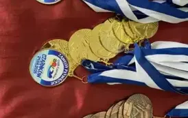 zp2406202507