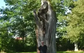 wz2109202506