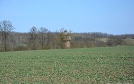 rw2802202617
