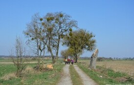 rr0411202607