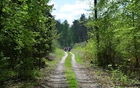 rr0905202623