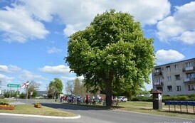 rr0905202620