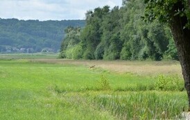 rr1306202617