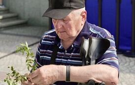 cz2106202641