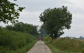rr1807202607