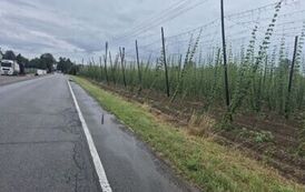 rw12072026116