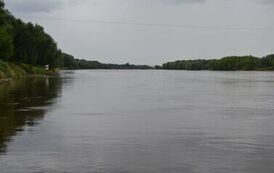 rw1207202686