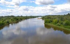rw1207202680