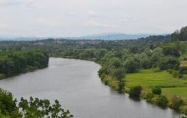 rw1207202648