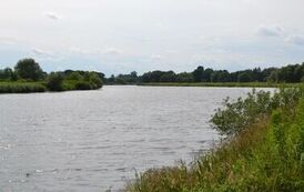 rw1207202644