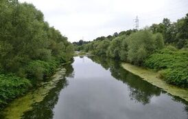 rw1207202619