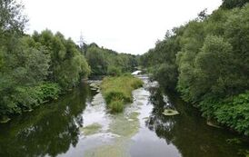 rw1207202618