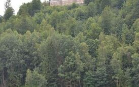 rw1207202616
