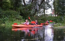 rr0509202622
