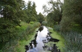 rr0509202604