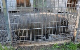 rr2609202615
