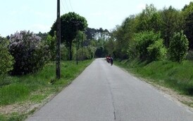 rrr1005200841
