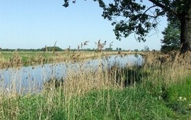 rrr1005200801