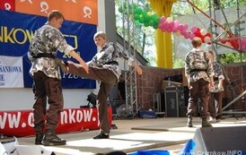 dzc_jn_0106200811
