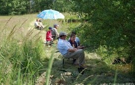 13dzc_wdd_3105200809