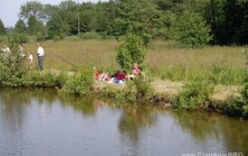 13dzc_wdd_3105200806