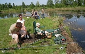 13dzc_wdd_3105200802