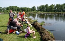 13dzc_wdd_3105200801