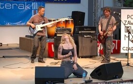 09dzc_mmg_3005200819