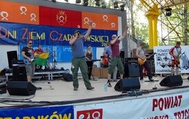 09dzc_mmg_3005200803