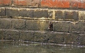 sgnw1306200832