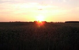 rn2106200806