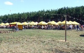 rnm2707200856