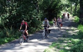 rnm2707200808