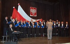 nsn1011200826