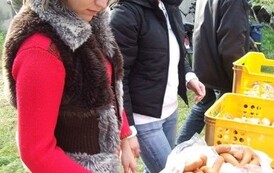 pmr1111200814